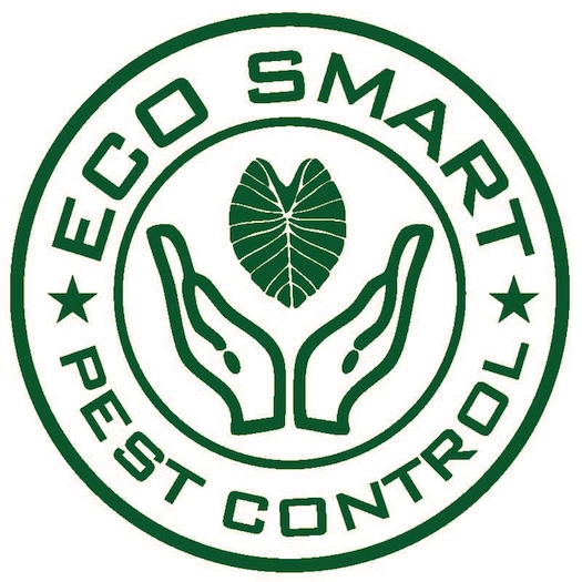 T-Shirt Logo 1_Vector500